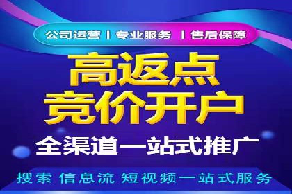 SEM竞价代运营案例：提升广告效果的关键策略